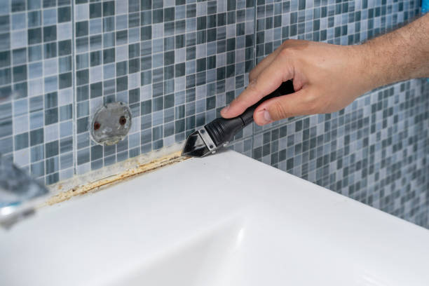 Best Commercial Mold Removal  in Lakewood Park, TN