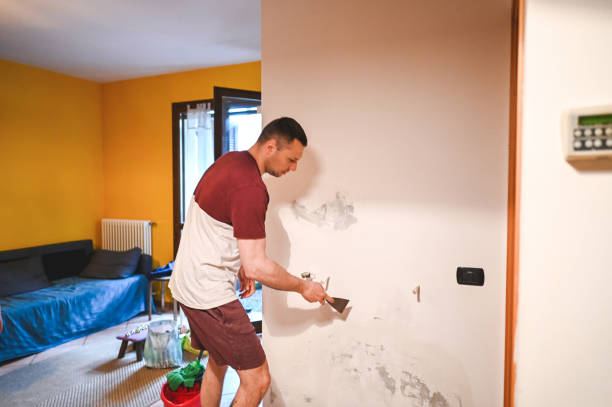 Best Best Mold Removal Companies  in Lakewood Park, TN